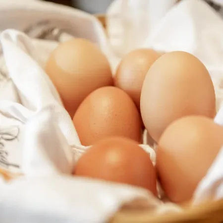 דירה Garni Enzian זולדן