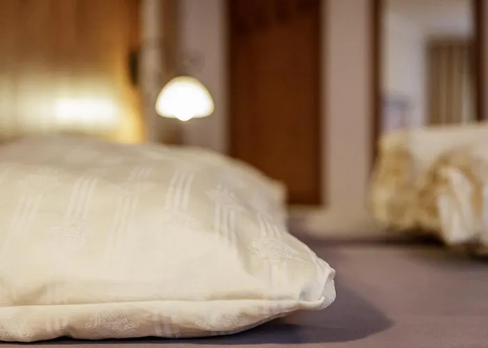 Garni Enzian شقة سولدن